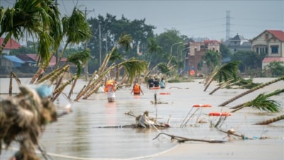 Vietnam'da sel felaketi: Hayatını kaybedenlerin sayısı 28’e yükseldi