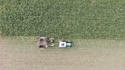 Kastamonu'da çiftçilerin zorlu pancar mesaisi: 1 dönüm alandan 5 ton ürün elde edildi