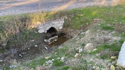 Çanakkale’de boş arazide yeni doğmuş bebek cesedi bulundu