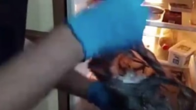 Adana'da buzdolabında uyuşturucu ele geçirilen şüpheli tutuklandı: Satmıyorum sadece içiciyim