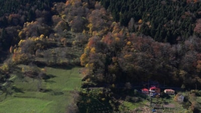 Hamsiköy sonbaharda renk cümbüşüne büründü