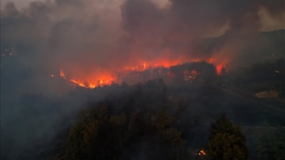 İzmir'de minibüste başlayıp ormana sıçrayan yangın: 4 sanığa 7'şer yıl hapis istemi