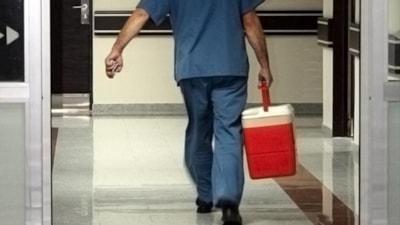 Türkiye'de 33 bine yakın hasta organ nakli bekliyor