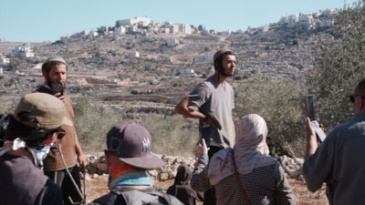 İsrail zulmünün öteki yüzü: Zeytin ağaçları neden hedef alınıyor