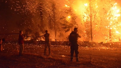 Çanakkale'de 2025 yılında çıkan orman yangınlarda bilanço