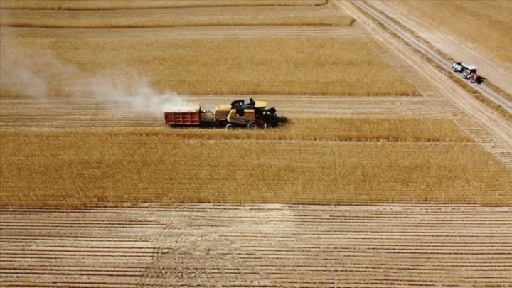 Çiftçilere 1,5 milyar liralık tarımsal destekleme ödemesi bugün