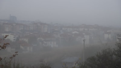 Edirne'de yoğun sis: Görüş mesafesi 30 metreye düştü