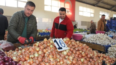 Amasya'da soğan bolluğu: Kilosu 7 aydır 10 TL'den satılıyor