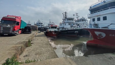 Trabzon'un Araklı Limanı'nda hafta sonu hamsi yoğunluğu yaşandı