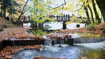 Yedigöller sonbaharda ziyaretçi akınına uğruyor