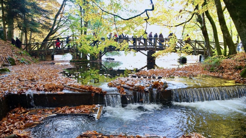 Yedigöller sonbaharda ziyaretçi akınına uğruyor