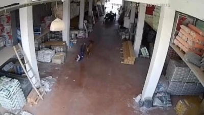 Çankırı'da depoya giren inek çalışanlara saldırdı