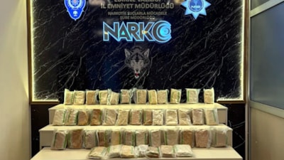 Edirne'de sınır kapısında tırdan 66 kilo uyuşturucu ham maddesi ele geçirildi