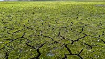 İstanbul'da kuraklığın izleri havadan görüntülendi