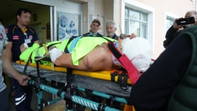 Kastamonu'da mantar toplayan imama ayı saldırdı