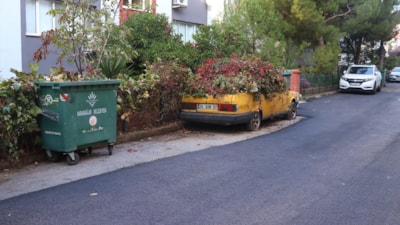 İzmir'de 8 yıldır park halindeki otomobili sarmaşıklar kapladı