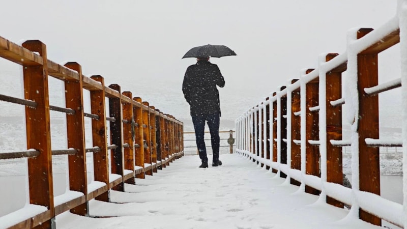 Ordu'da yüksek kesimler karla buluştu