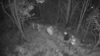 Kırklareli’nde FETÖ operasyonu: 6 kişi yurtdışına kaçarken yakalandı