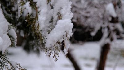 Yozgat'ta mevsimin ilk karı düştü