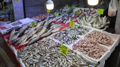 Samsun'da soğuyan havayla, balık tezgahları da hamsi ile doldu