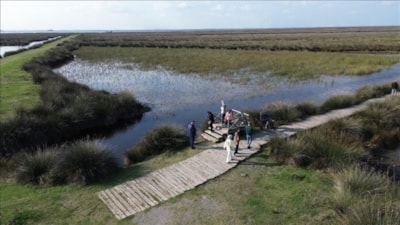 Kızılırmak Deltası Kuş Cenneti ziyaretçilerini bekliyor