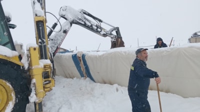 Sivas’ta üzerinde kar biriken çadır çöktü: 8 koyun telef oldu