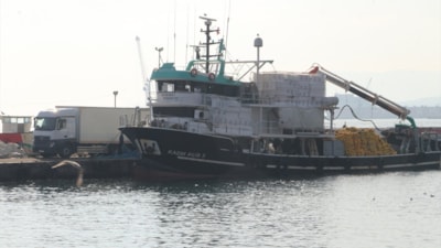 Marmara Denizi'ndeki bolluk sonrası balıkçılar Tekirdağ açıklarını tercih etti