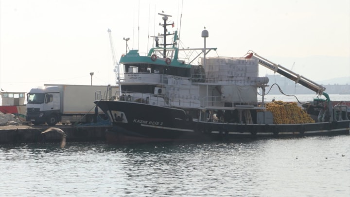 Marmara Denizi'ndeki bolluk sonrası balıkçılar Tekirdağ açıklarını tercih etti