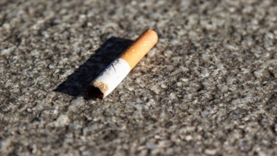 Almanya'da çevre kirliliğiyle mücadelede rekor cezalar: İzmarite 3 bin euro, moloza 100 bin euro