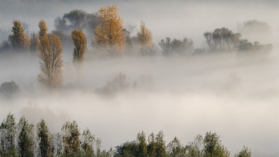 Türkiye'nin saklı cenneti: UNESCO burayı gözü gibi koruyor...