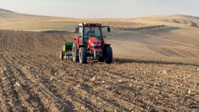 Kuraklık nedeniyle Yozgat'ta buğday ekimi kasım ayına sarktı