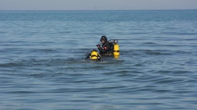 Ordu'da kayıp olarak aranan kadının cansız beden bulundu