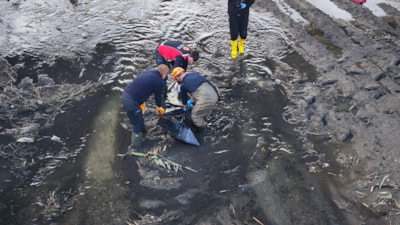 Edirne'de haber alınamayan kişinin, dere yatağında cansız bedeni bulundu