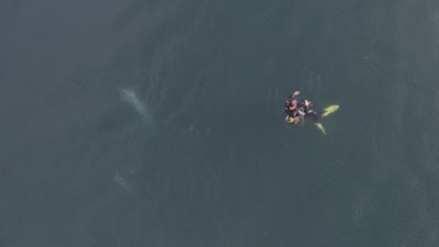 Sapanca Gölü'nde endişe yaratan kabarcıklar görüntülendi: Uzmanından ‘deprem’ açıklaması
