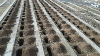 Erzurum'da dondurucu soğuklar öncesi '500 kışlık mezar' kazıldı