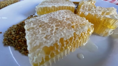 Karabük'ün Yenice Ihlamur Balı'na AB'den coğrafi işaret tescili