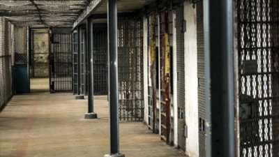 İsrail hapishanesindeki Filistinli esir: Polis köpeklerinin tecavüzüne uğradım