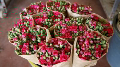 Türkiye'nin çiçek ihracatındaki çeşitliliği arttı
