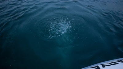 Sapanca Gölü'ndeki kabarcıkların sebebi belli oldu