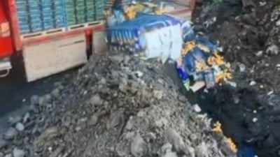 Sarp Sınır Kapısı’nda 6 ton mandalina imha edildi