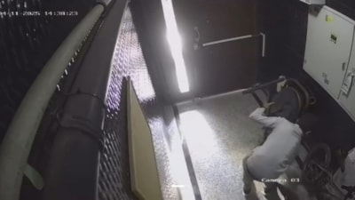 İstanbul'da elektrikli skuter hırsızlığı kamerada