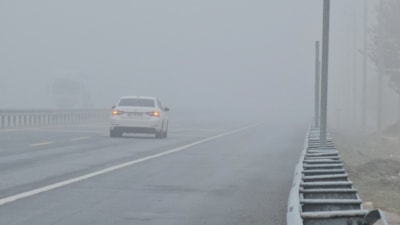 Bitlis'te etkili olan yoğun sis görüş mesafesini sıfıra düşürdü