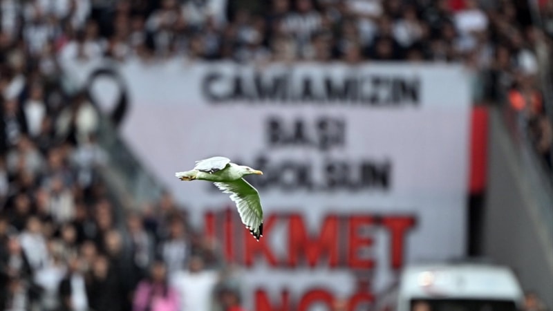 Beşiktaş - Samsunspor maçında davetsiz misafir