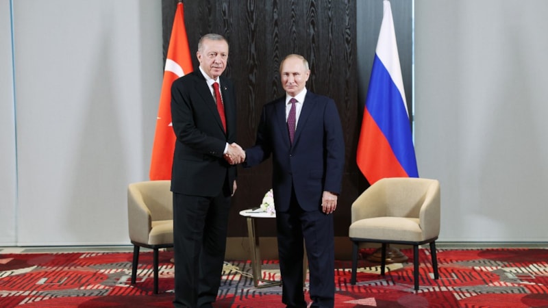 Cumhurbaşkanı Erdoğan, Putin ile görüştü