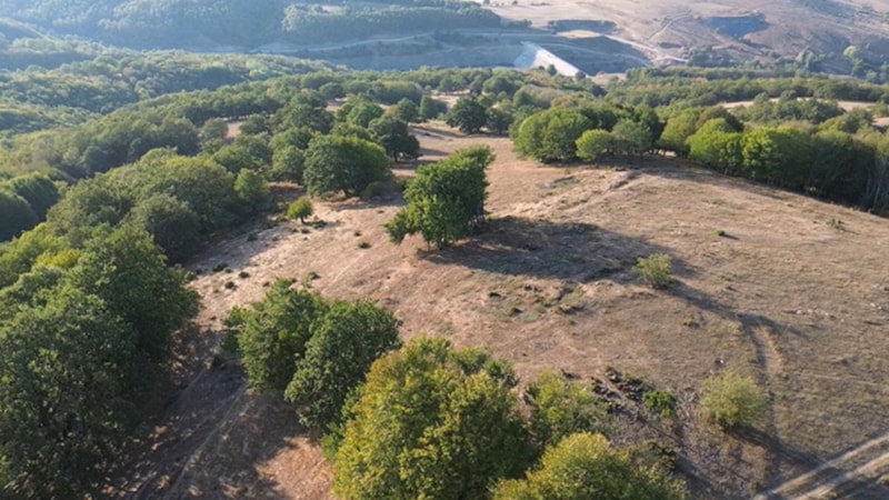 Bilecik’te rüzgar santrali çalışmalarında tarihi siper hattı ortaya çıktı