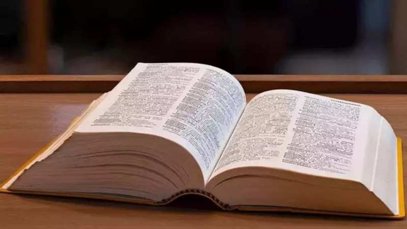 2025'in kelimesi: Rage bait (öfke yemi) ne demek, anlamı nedir?