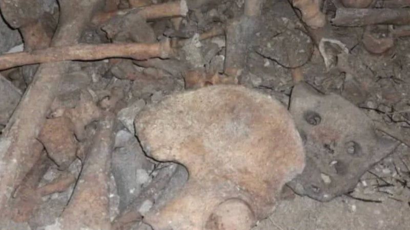 Suriye'de Esad rejimi tarafından kullanılan bir binanın altında toplu mezar bulundu