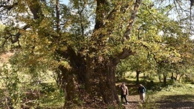 Türkiye’nin doğal mirası güvence altında