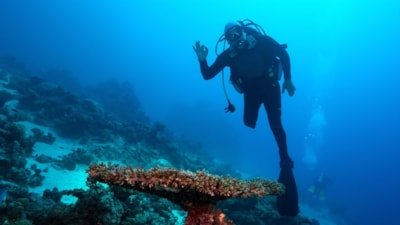 Engelleri mavi derinliklerde aştı: Özgür Akçı Kızıldeniz’e daldı