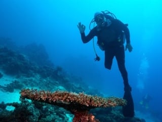Engelleri mavi derinliklerde aştı: Özgür Akçı Kızıldeniz’e daldı